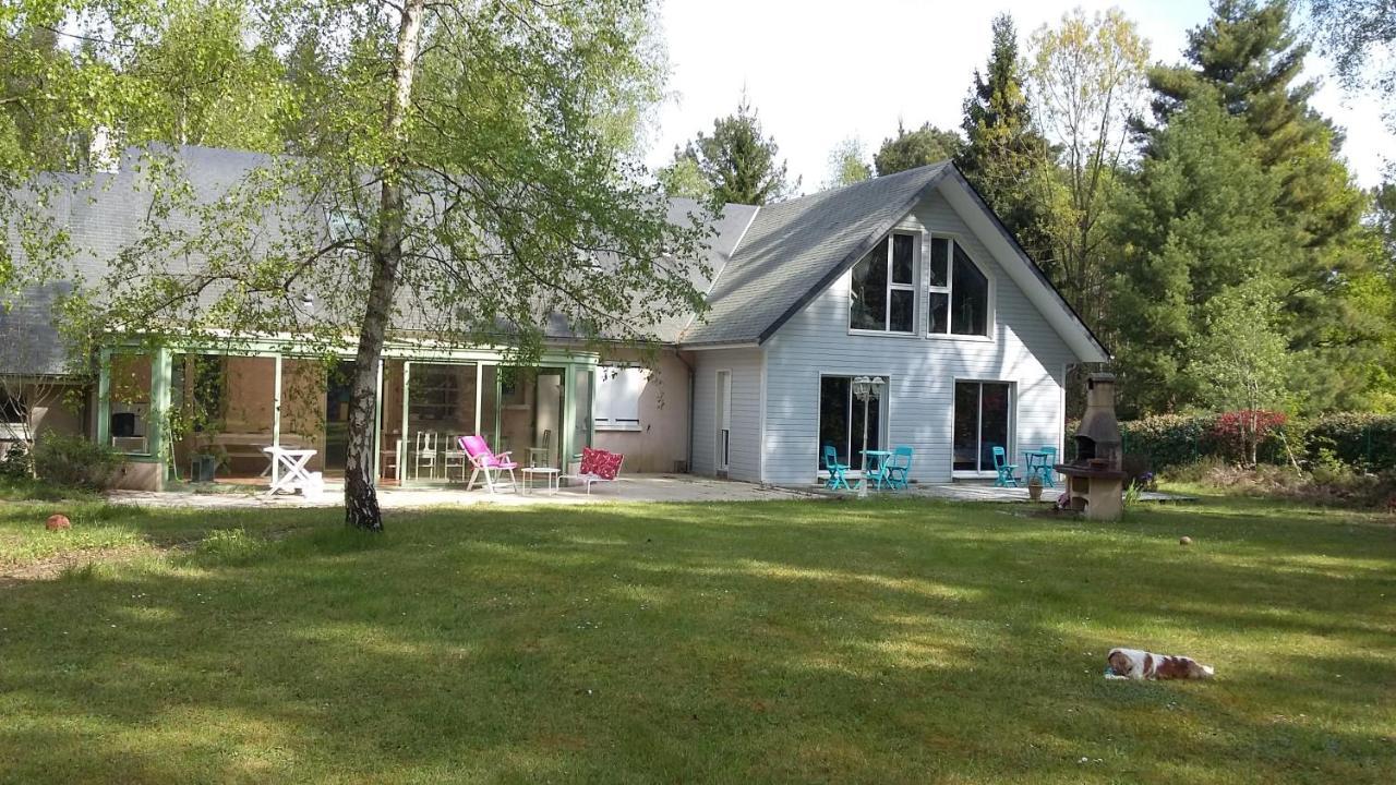 B&B La Foret De Charmeuse Ruaudin Exteriér fotografie