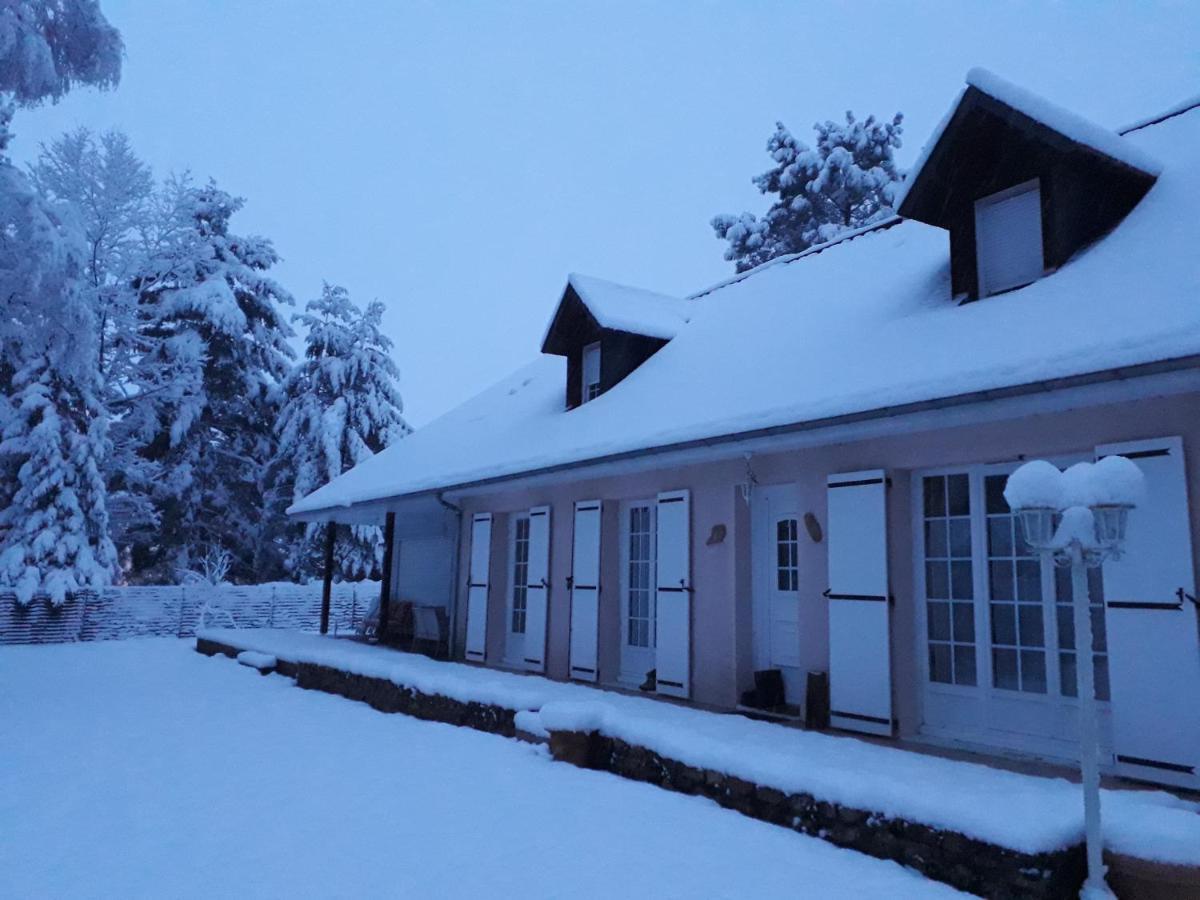 B&B La Foret De Charmeuse Ruaudin Exteriér fotografie