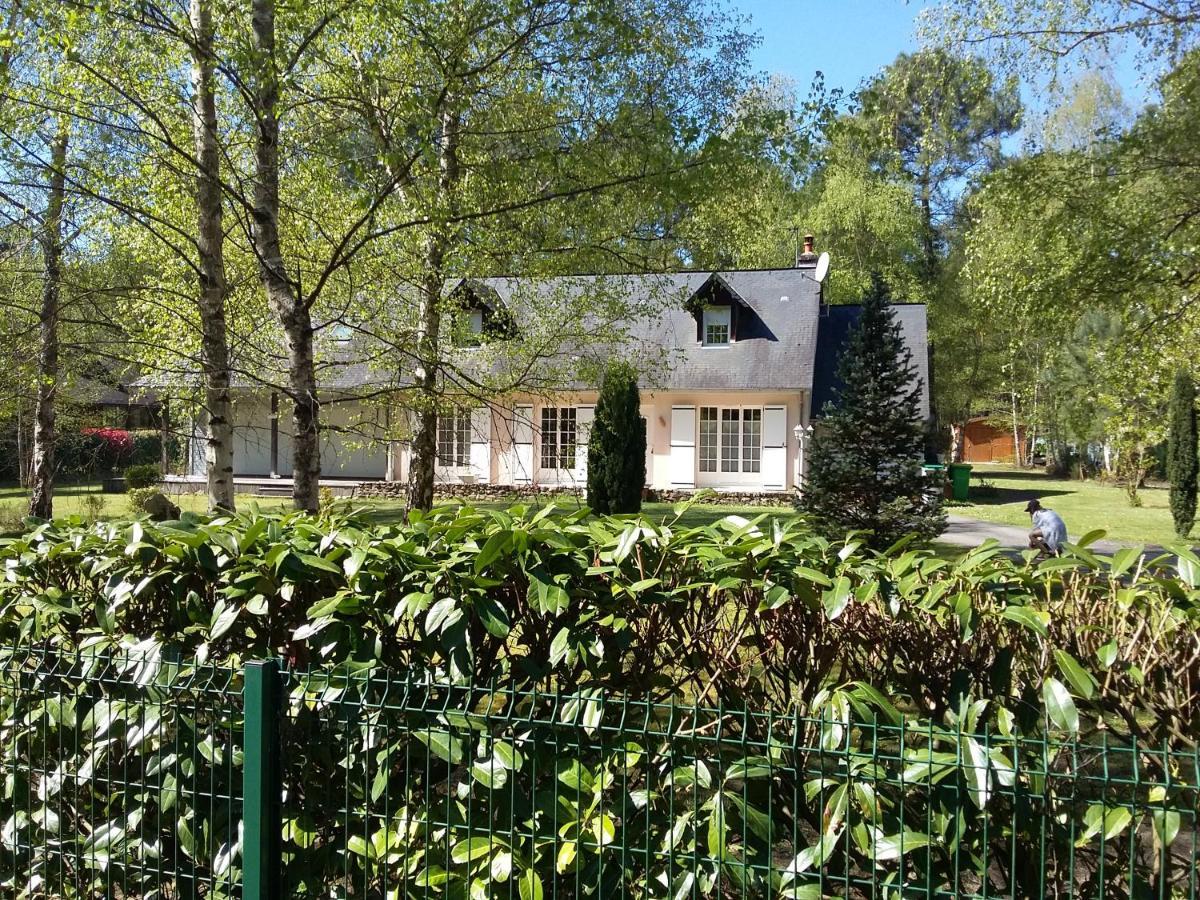 B&B La Foret De Charmeuse Ruaudin Exteriér fotografie